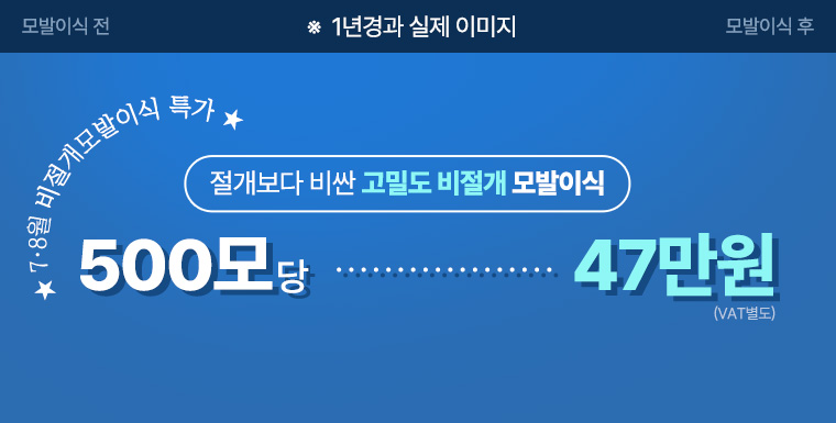 메인이미지